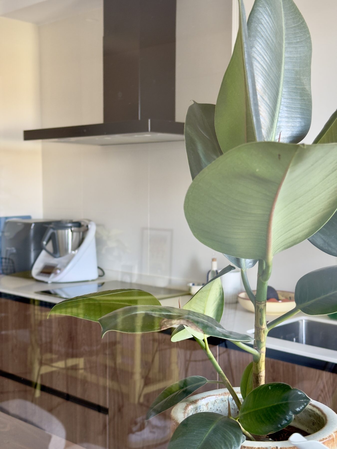 Cocina y cerramiento de cristal · vista 10